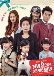 Как украсть собаку